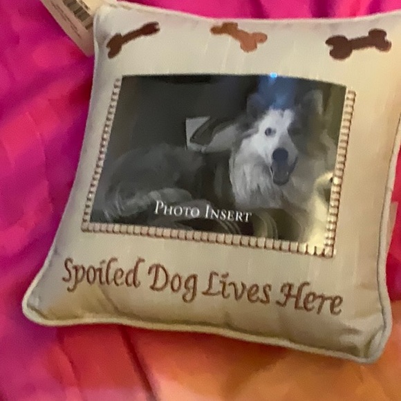 PILLOW FOR DOG’S PICTURE - Picture 1 of 4